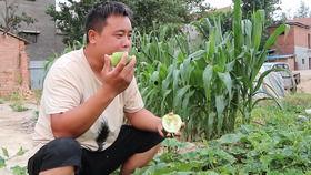 老张吃瓜视频,揭秘娱乐圈幕后故事