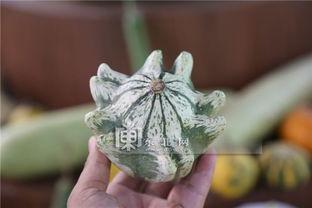 异形吃瓜,吃瓜群众围观惊悚宇宙