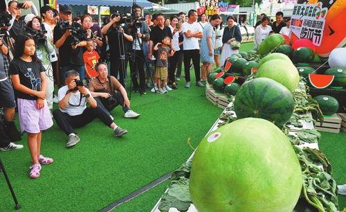 中国吃瓜节图片大全,全民狂欢的视觉盛宴