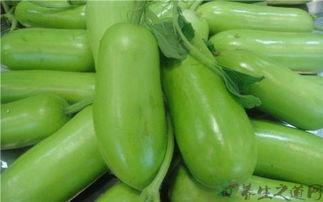 蒲瓜叶柄怎么吃,蒲瓜叶柄的多样食用方法探索