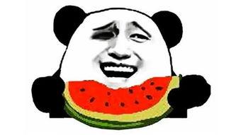 如何幽默的吃瓜,趣味吃瓜指南，让你轻松成为“瓜界达人”