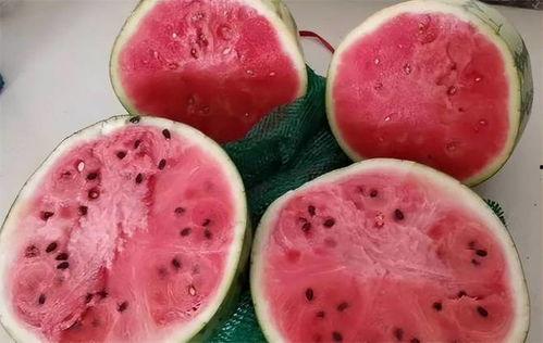 麒麟瓜有小瓜吗怎么吃的,美味吃法大揭秘