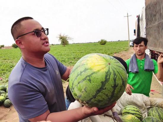 天天跟瓜打交道每日吃瓜,跟随“天天吃瓜”探索娱乐圈风云变幻