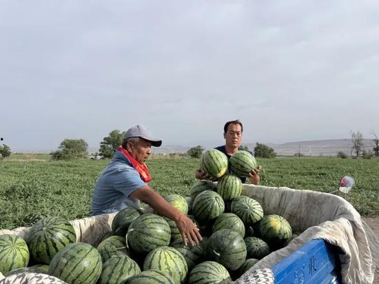 天天跟瓜打交道每日吃瓜,跟随“天天吃瓜”探索娱乐圈风云变幻