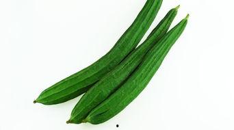 西安女骑吃瓜,一场网络热议背后的社会现象解析