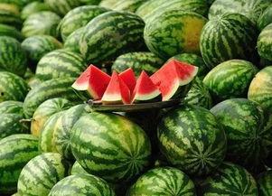 西安女骑吃瓜,一场网络热议背后的社会现象解析