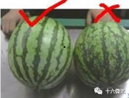 吃瓜用的挖瓜勺,揭秘吃瓜必备的挖瓜勺