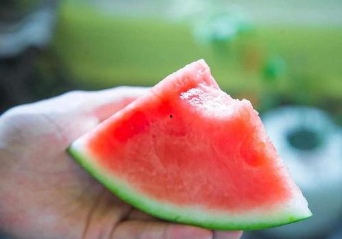 小孔吃瓜,揭秘瓜果世界的奇妙之旅