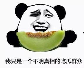 吃瓜群众雪酱酱,揭秘吃瓜群众的趣味生活