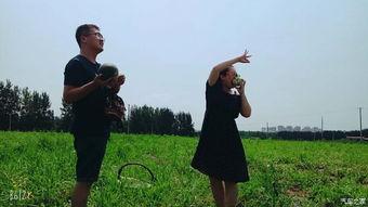 瓜出没吃年货,探寻年节美食背后的故事