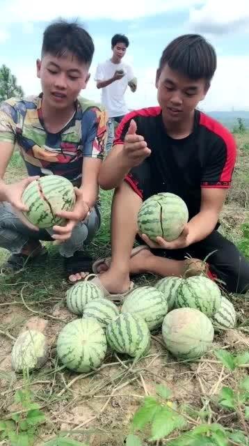 户外爬山吃瓜,户外爬山美食体验记