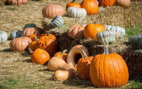 吃瓜的气氛,揭秘娱乐圈的幕后风云