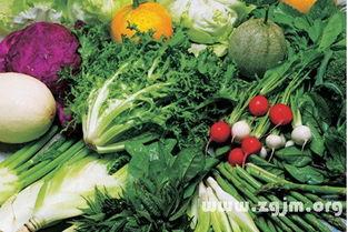 梦到吃瓜菜,揭秘梦中吃瓜菜的神秘寓意