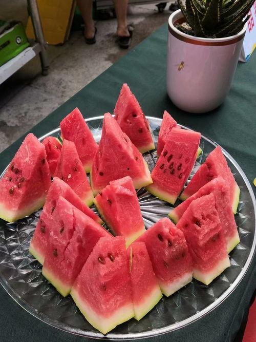 库尔勒吃瓜大赛,一场瓜果盛宴的狂欢记