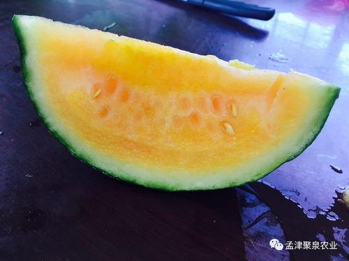 回家吃自己的瓜,回家吃自己的瓜，品味人生百味