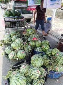 芒市吃瓜事件,一场引发热议的网络狂欢