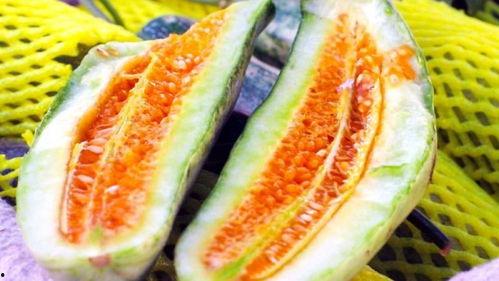 吃瓜全网最热的瓜,揭秘吃瓜界的顶级“瓜王”