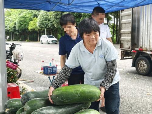 吃瓜白姨酒店,体验独特美食与休闲之旅