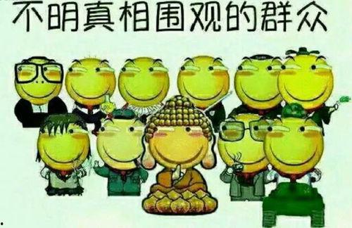 吃瓜群众小黄毛,吃瓜群众的独特视角