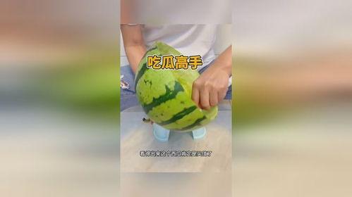 吃瓜高手小说,揭秘娱乐圈背后的秘密风云