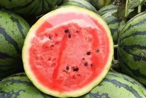 瓜怎么储存冬天吃,瓜类储存指南，轻松过冬享鲜甜