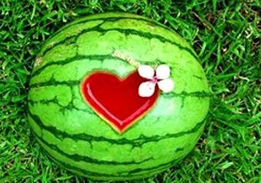 做梦吃喜瓜,喜瓜梦境解析