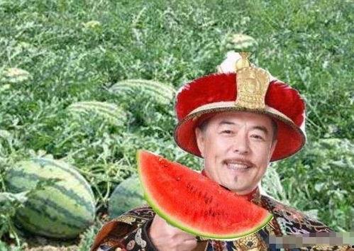 吃瓜清朝,揭秘宫廷秘闻与民间趣事