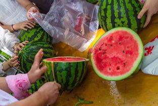 最新吃瓜视频大全,揭秘娱乐圈幕后真相