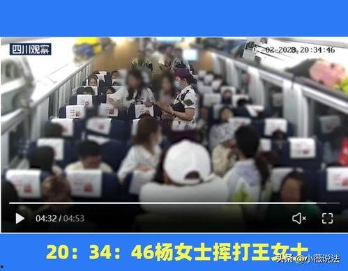 专业吃瓜群众视频,视频背后的趣味与深度解析