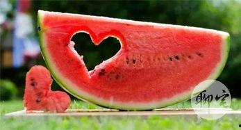 爬楼吃瓜的样子,揭秘都市生活里的独特风景