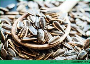 听瓜吃瓜子,听瓜吃瓜子的趣味生活体验