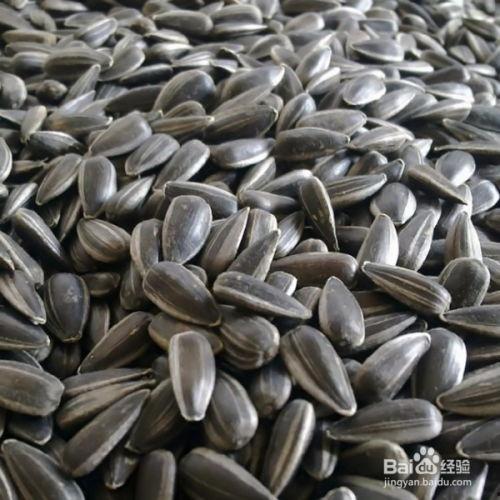 听瓜吃瓜子,听瓜吃瓜子的趣味生活体验