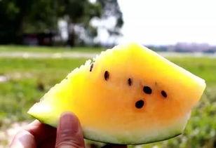 吃瓜之星,揭秘娱乐圈幕后风云