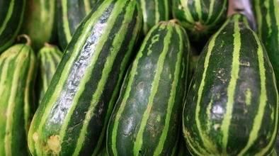 吃梢瓜减肥吧,天然美味，轻松瘦身新选择