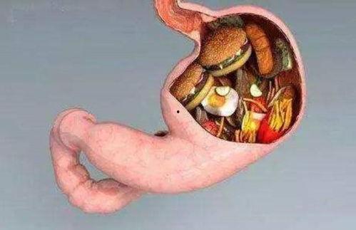 吃小乳瓜肚子胀,揭秘消化小贴士