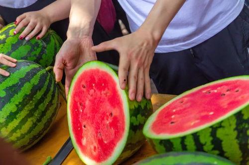 各学校吃瓜网站,揭秘各大高校吃瓜网站热点事件盘点