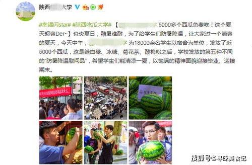 各学校吃瓜网站,揭秘各大高校吃瓜网站热点事件盘点