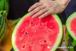 大学吃瓜群,揭秘校园里的“八卦风云”