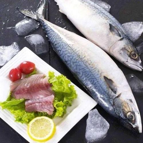 角瓜鱼怎么吃,解锁美味新境界