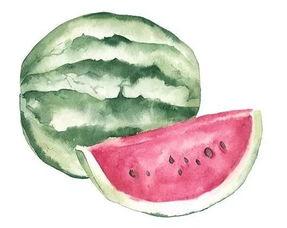 在朝堂吃瓜3,揭秘宫廷中的“吃瓜”文化